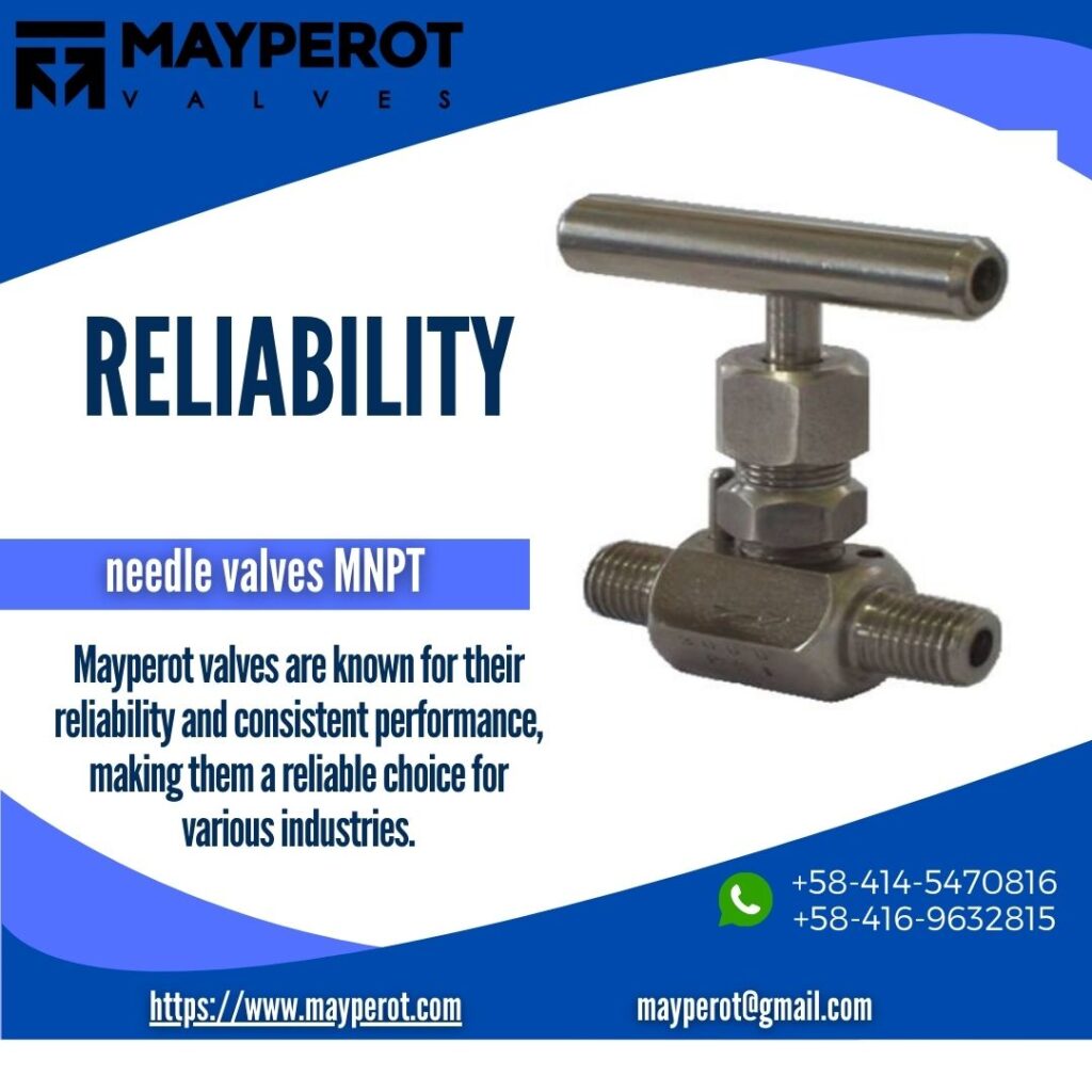 Valvulas aguja mnpt acero inoxidable